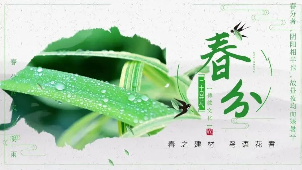 今日春分 | 春之建材，，，，，莺啼燕语
